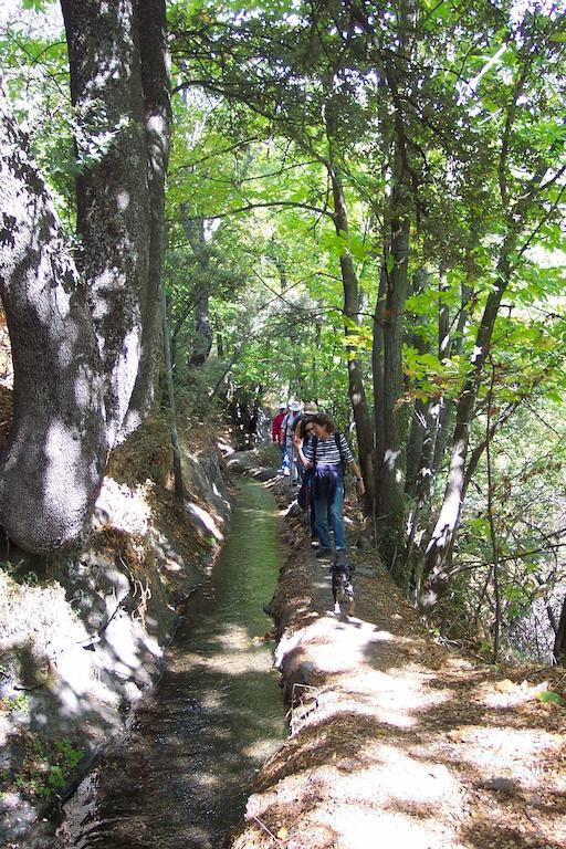 אלפוחארה דה לה סיירה Alojamiento Rural Mirador Del Avellano מראה חיצוני תמונה