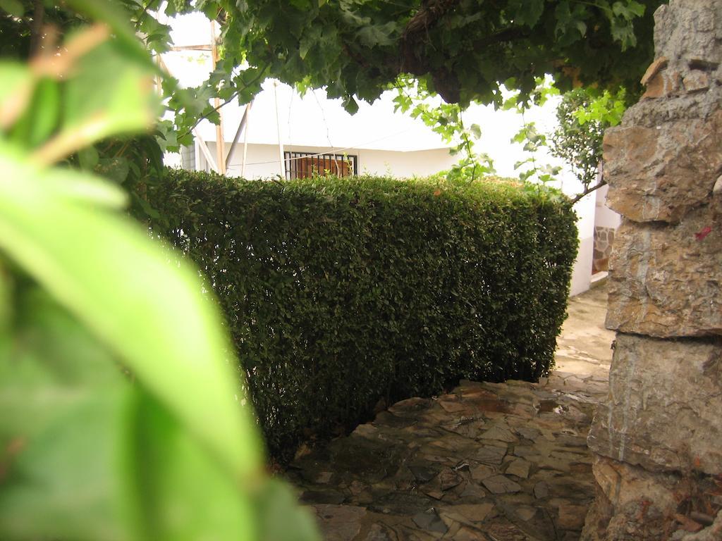 אלפוחארה דה לה סיירה Alojamiento Rural Mirador Del Avellano מראה חיצוני תמונה